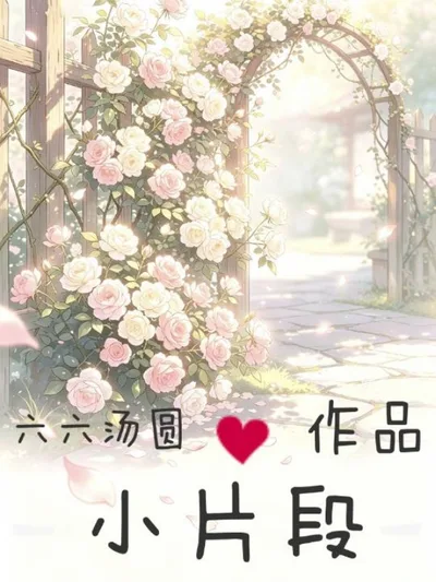 小片段